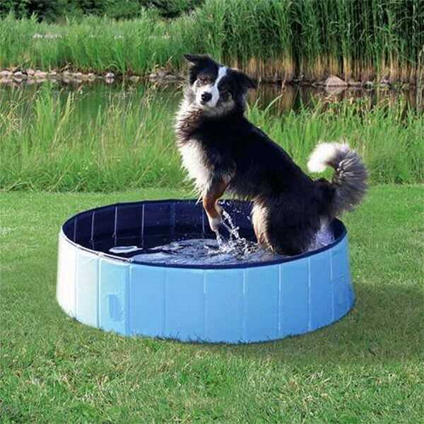 trixie-kopek-oyun-havuzu-cap-80-cm-derinlik-20-cm-eitim-ve-zeka-gelitirici-oyuncaklar-trixie-931327-50-B Trixie Köpek Oyun Havuzu Çap 80 Cm Derinlik 20 Cm - Görsel 1