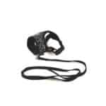 M-Pets Letsgo Kedi Göğüs Tasması Seti 30-42 Cm - Görsel 3