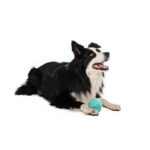 M-Pets Vice Versa Et Aromalı Top Köpek Oyuncağı 8,38 Cm - Görsel 3