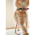 M-Pets Urban Style Freestyle  Kedi ve Köpek Papyonu Large - Görsel 2