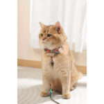 M-Pets Urban Style Freestyle  Kedi ve Köpek Papyonu Large - Görsel 3