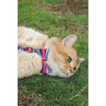 M-Pets Urban Style Jazz Stripes Kedi ve Köpek Papyonu Large - Görsel 2