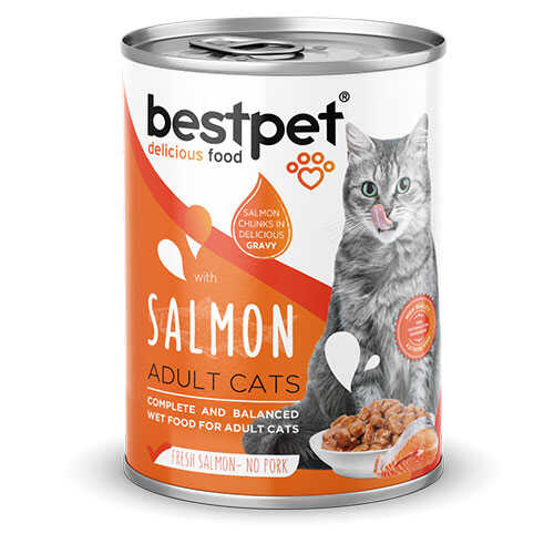 bestpet-parca-etli-somon-balikli-yetiskin-kedi-konservesi-6-adet-400-gr-yetiskin-kedi-konservesi-bestpet-995089-57-B BestPet Parça Etli Somon Balıklı Yetişkin Kedi Konservesi 6 Adet 400 Gr - Görsel 1