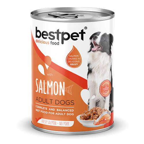 bestpet-parca-etli-somon-etli-yetiskin-kopek-konservesi-24-adet-400-gr-yetiskin-kopek-konservesi-bestpet-995136-57-B BestPet Parça Etli Somon Etli Yetişkin Köpek Konservesi 24 Adet 400 Gr - Görsel 1
