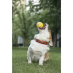 M-Pets Bloom Ball Parçalanmaz Top Köpek Oyuncağı Sarı 7 Cm - Görsel 3
