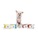 M-Pets Kedi ve Köpekler İçin Avocadolu Temizleme Mendili 80'li - Görsel 2