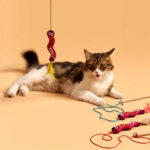 Kito Toys Solucan Peluş Kedi Oyuncağı - Görsel 2