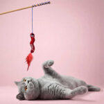 Kito Toys Solucan Peluş Kedi Oyuncağı - Görsel 3