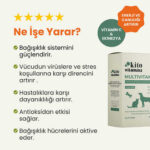 Kito Vitamins Bağışıklık Sistemi Destekleyici Kedi ve Köpek Multivitamini 2x15 Gr - Görsel 2