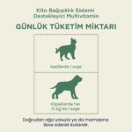 Kito Vitamins Bağışıklık Sistemi Destekleyici Kedi ve Köpek Multivitamini 2x15 Gr - Görsel 3