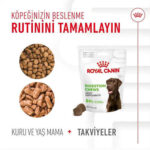 Royal Canin Digestion Chews Sindirim Sağlığını Destekleyen Köpek Ödül Maması 160 Gr - Görsel 3