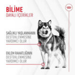 Royal Canin Joint Ageing Chews Eklem Sağlığını Destekleyen ve Yaşlanma Karşıtı Yetişkin Köpek Ödül Maması 240 Gr - Görsel 2