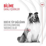 Royal Canin Skin Coat Chews Deri ve Tüy Sağlığını Destekleyen Yetişkin Köpek Ödül Maması 240 Gr - Görsel 2