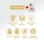 Felicia Hypoallergenic Medium Large Kuzulu Düşük Tahıllı Yetişkin Köpek Maması 6 Kg - Görsel 3