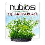 Nubios Plastik Bitki Kare Tabanlı Tekli Karton 10 Cm