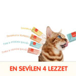 Wanpy Karışık 4 Lezzetli Krema Kedi Ödülü 100x14 Gr - Görsel 2