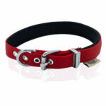 Doggie Konfor Dokuma Kırmızı Köpek Boyun Tasması Small 2 x 30-35 cm