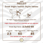 Doggie Konfor Ronin Dokuma Siyah Köpek Göğüs Tasması Medium 2 x 45-55 cm - Görsel 3