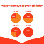 Wanpy With Oven Baked Bites Somonlu Tahılsız Yetişkin Kedi Maması 8 Kg - Görsel 3