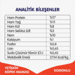 Wanpy With Oven Baked Bites Somonlu Tahılsız Yetişkin Köpek Maması 1,5 Kg - Görsel 2