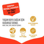 Wanpy With Oven Baked Bites Tavuklu Tahılsız Yavru Köpek Maması 12 Kg - Görsel 2